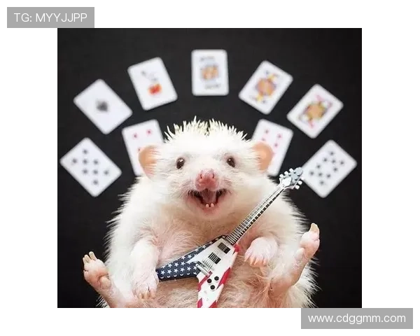 足球明星表情包微信分享让你在聊天中尽显个性与幽默感