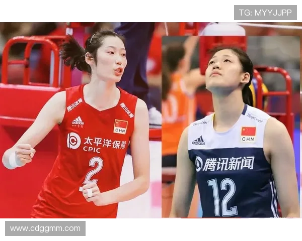 杭州排球队实力强劲荣登全国排球实力排行榜第四名